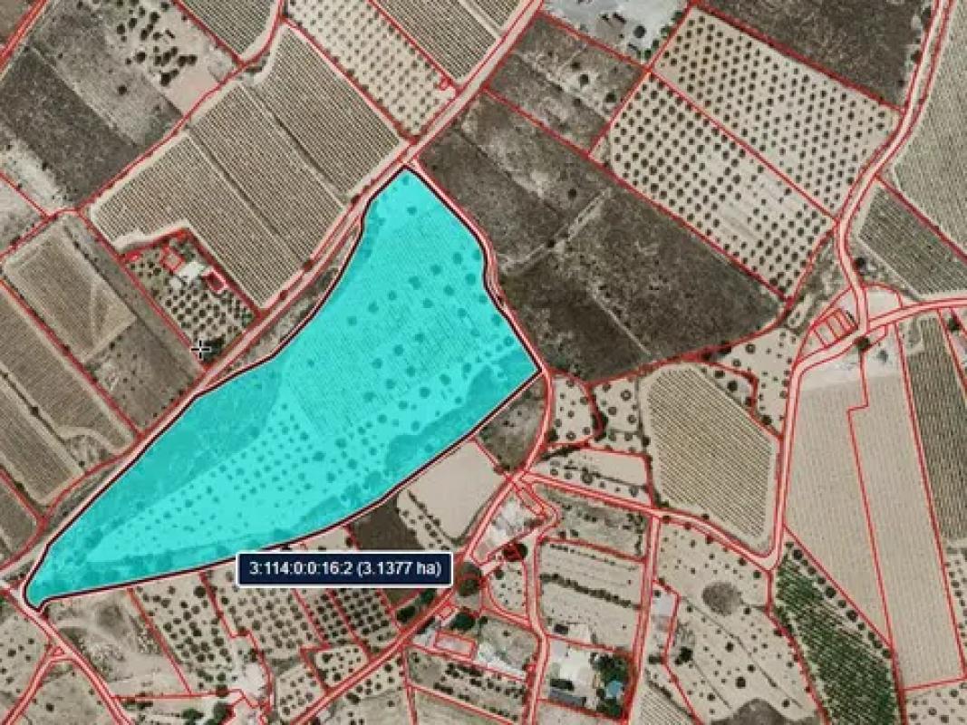Terreno en venta en La Romana, Alicante photo 2