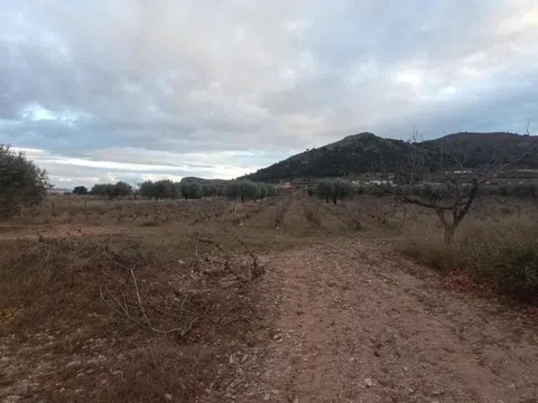 Terreno en venta en La Romana, Alicante photo 4