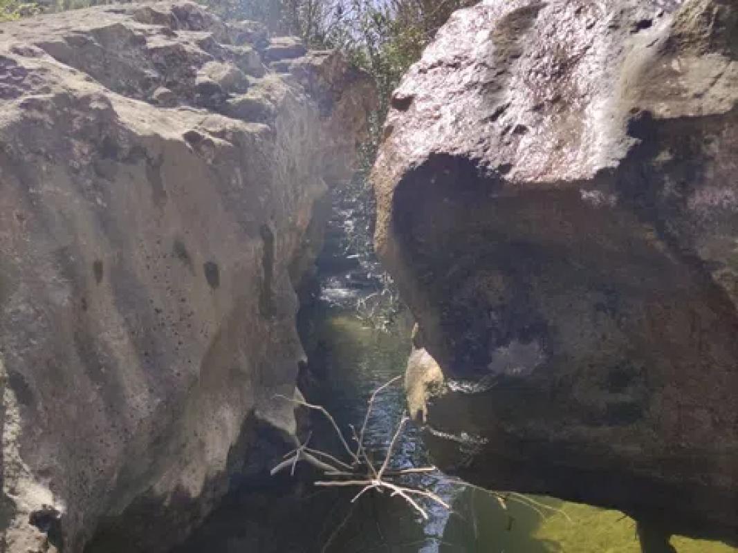 Działka na sprzedaż w Pego, Alicante photo 4