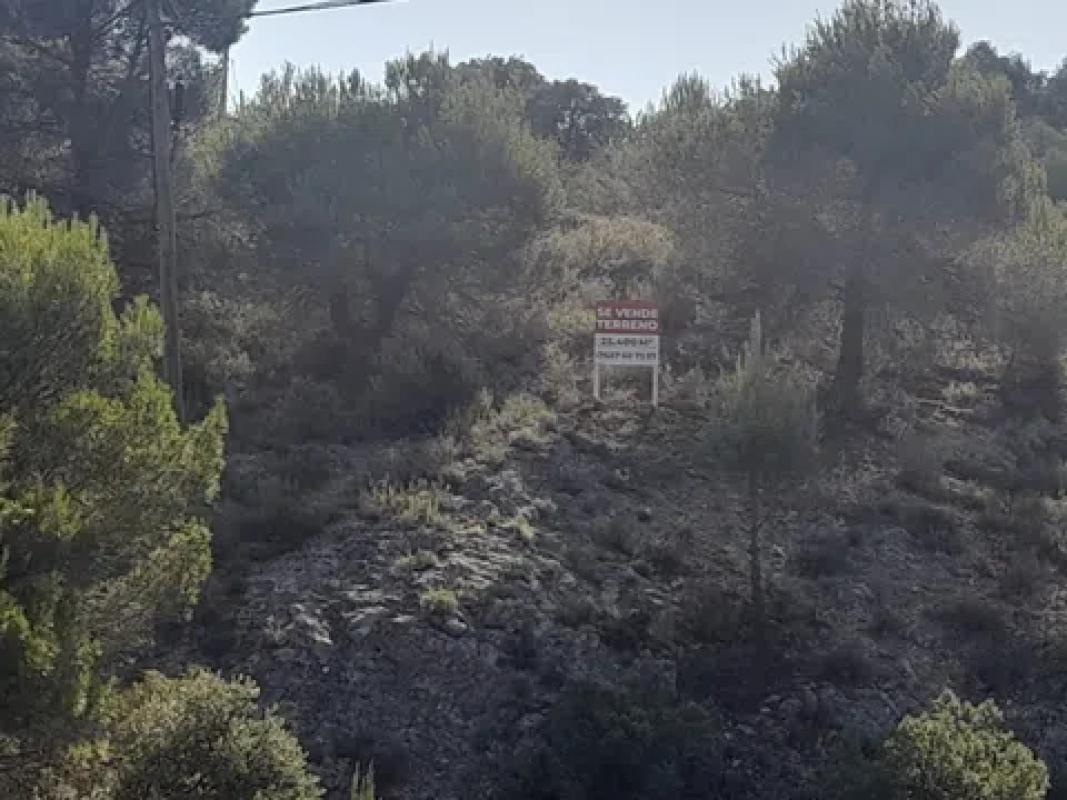 Działka na sprzedaż w Pego, Alicante photo 5