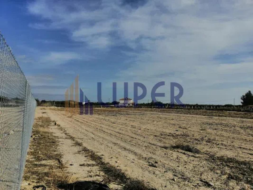 Terreno en venta en Agost, Alicante photo 1