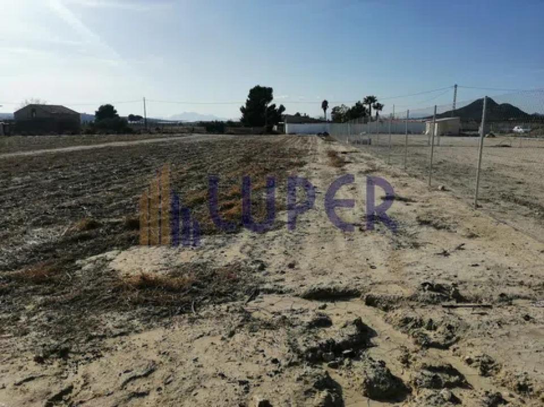 Terreno en venta en Agost, Alicante photo 3