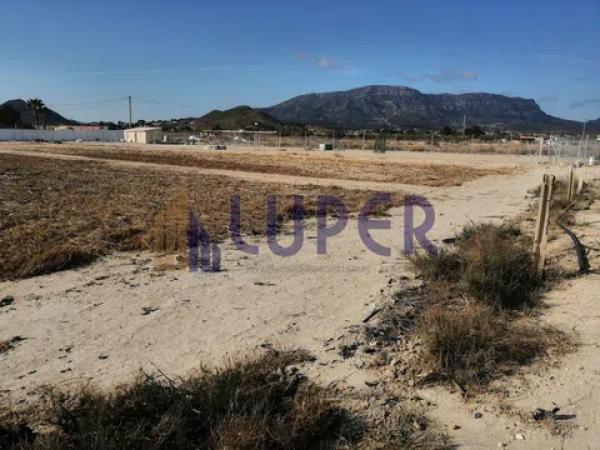 Terreno en Agost photo 4