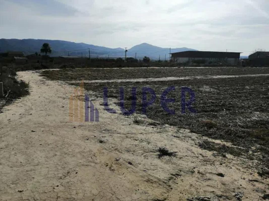 Terreno en venta en Agost, Alicante photo 5