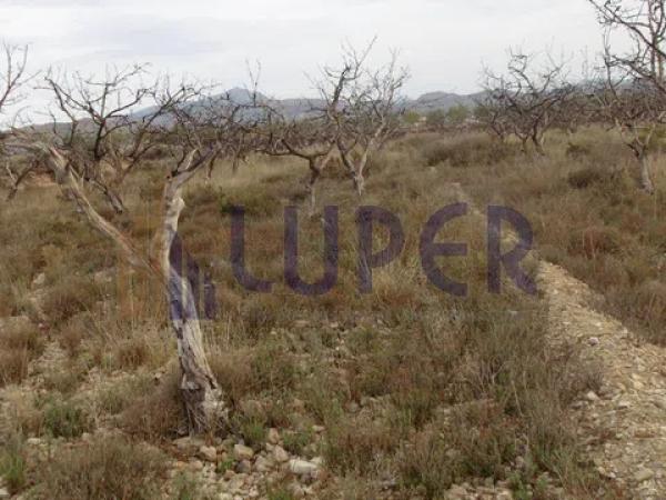 Terreno en Agost photo 1