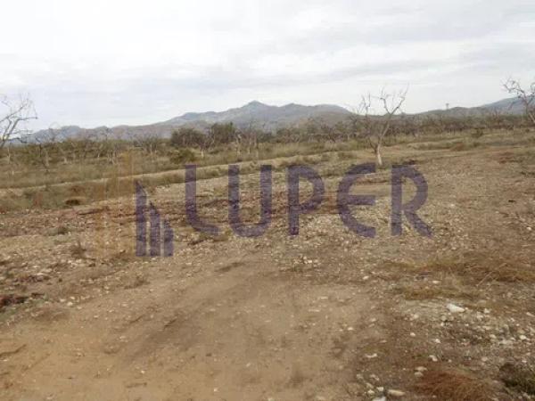 Terreno en Agost photo 3