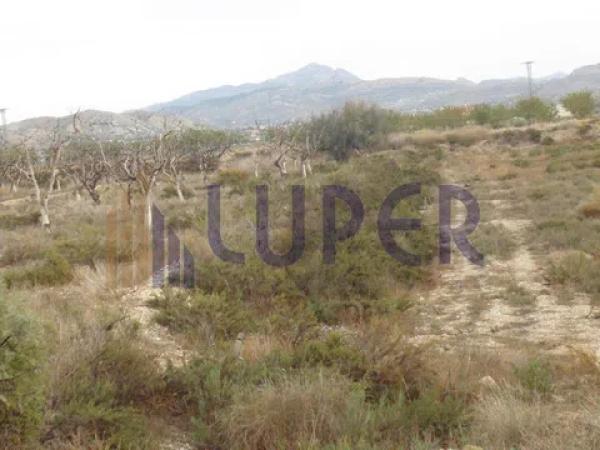 Terreno en Agost photo 4