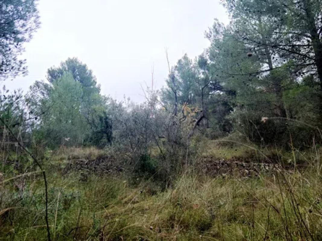 Działka na sprzedaż w Benifato, Alicante photo 4