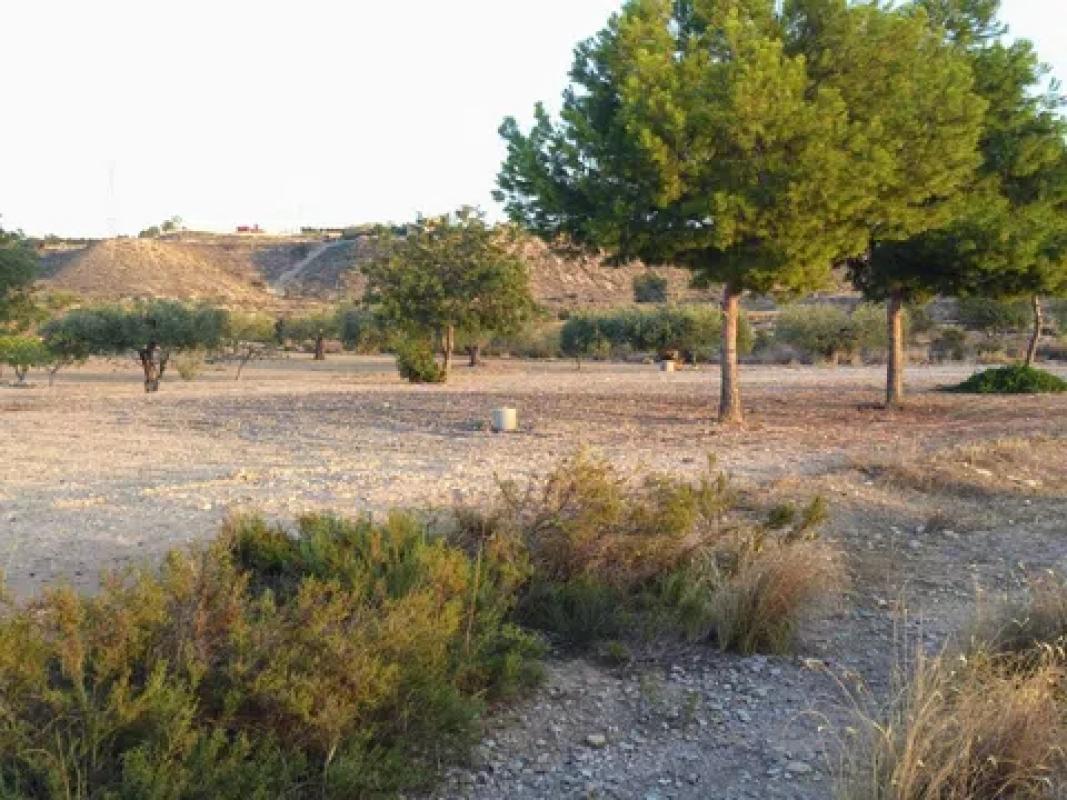 Terreno en venta en Busot, Alicante photo 1