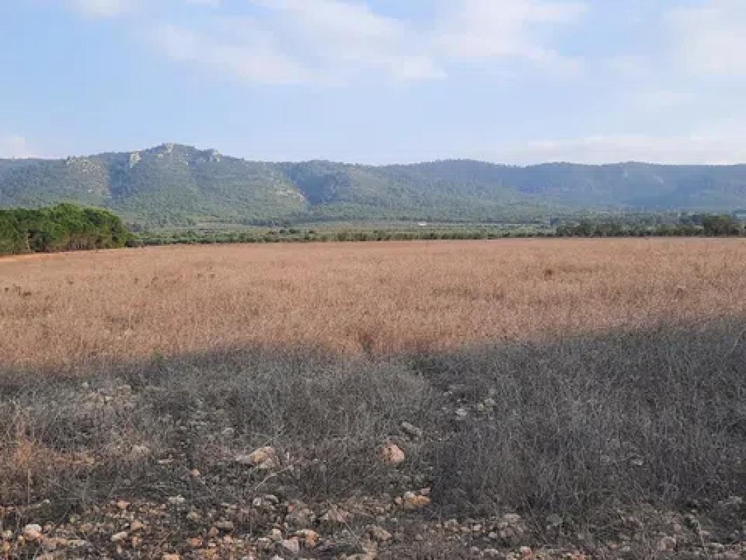 Land for sale in Beneixama, Alicante photo 1