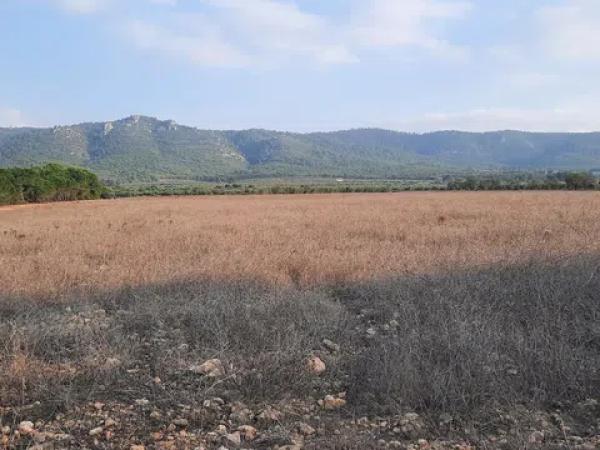 Terreno en Benejama s/n photo