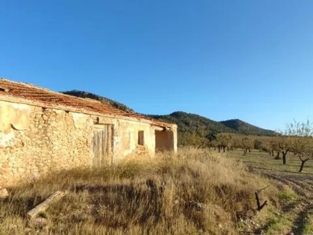 Działka na sprzedaż w Salinas, Alicante photo 2
