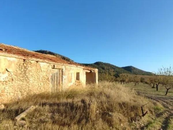 Terreno en paraje la boquera s/n thumbnail 1