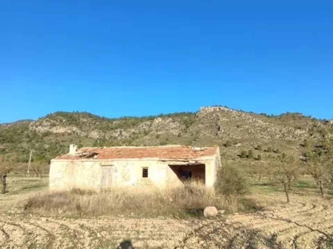 Działka na sprzedaż w Salinas, Alicante photo 3
