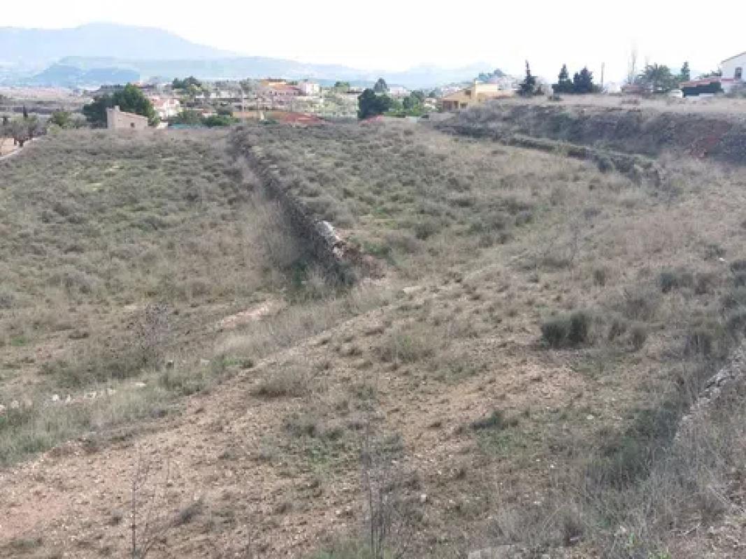 Terreno en venta en Monovar, Alicante photo 2