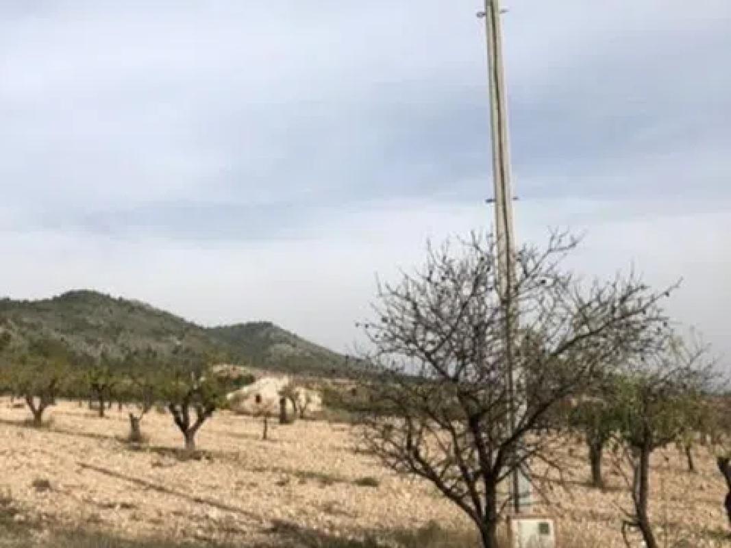 Działka na sprzedaż w Salinas, Alicante photo 4