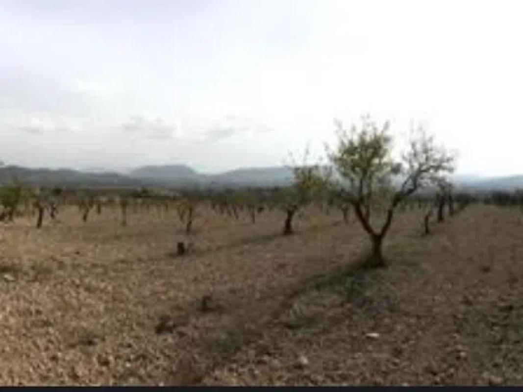 Działka na sprzedaż w Salinas, Alicante photo 5