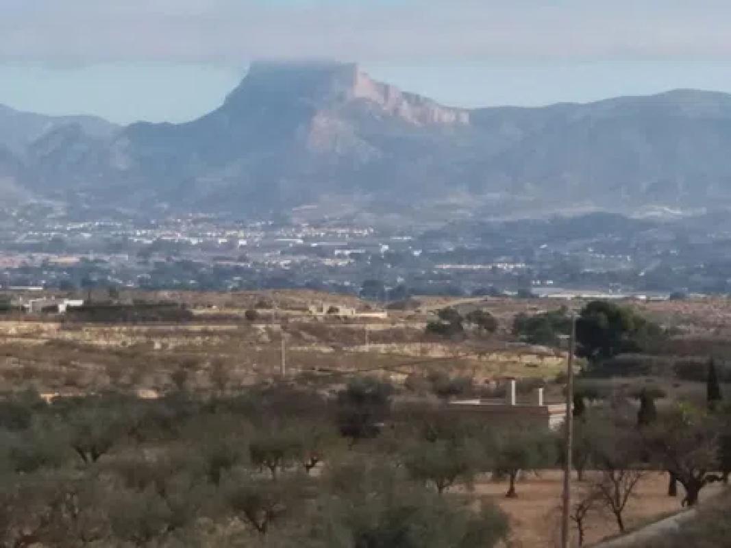 Terreno en venta en Monovar, Alicante photo 4