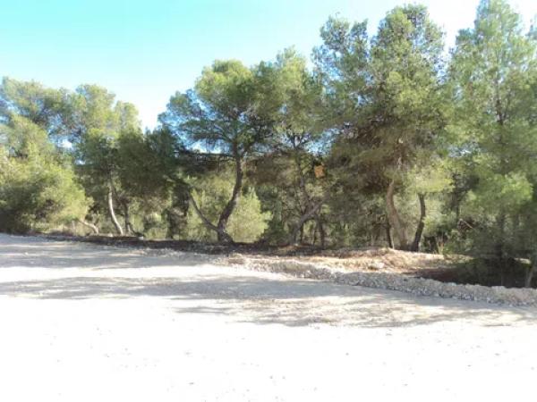 Terreno en Finca Terol, 4 b photo 2
