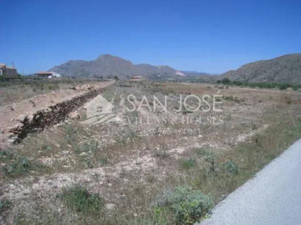 Terreno en Hondón de los Frailes photo 2