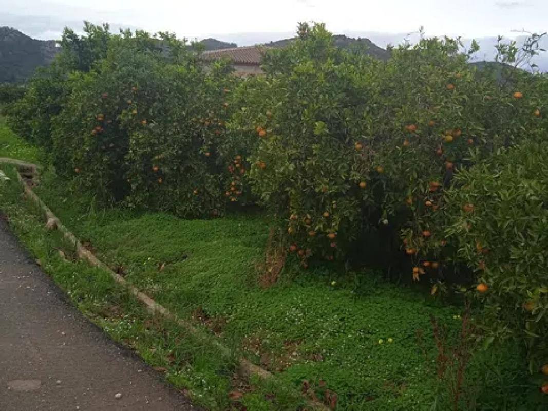 Land for sale in Sagra, Alicante photo 3