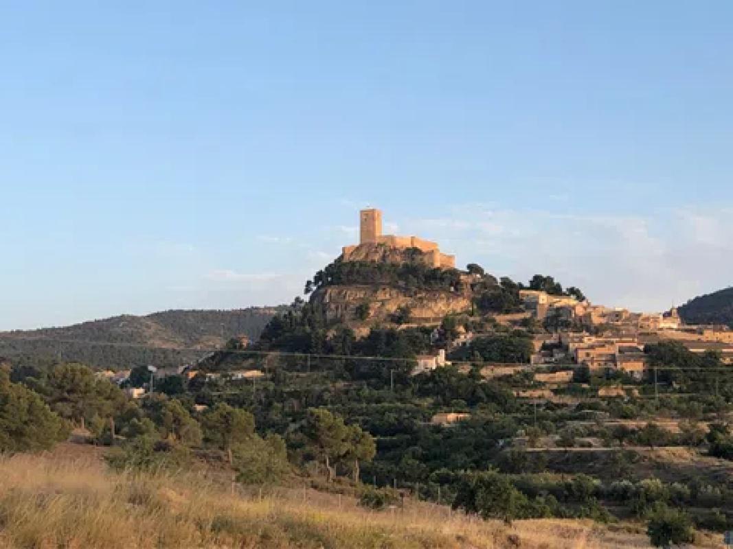 Land for sale in Biar, Alicante photo 2