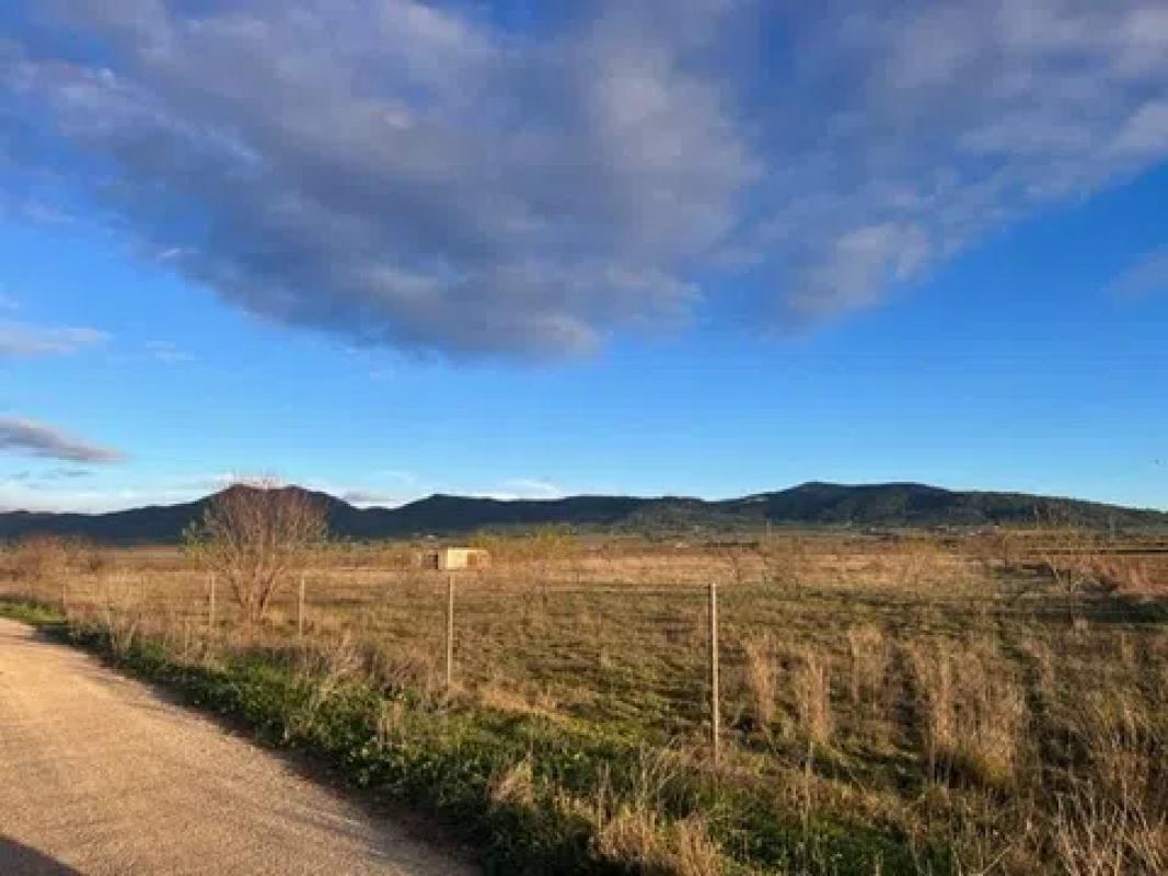 Land for sale in Biar, Alicante photo 5