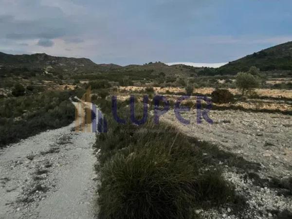Terreno en Agost photo 2