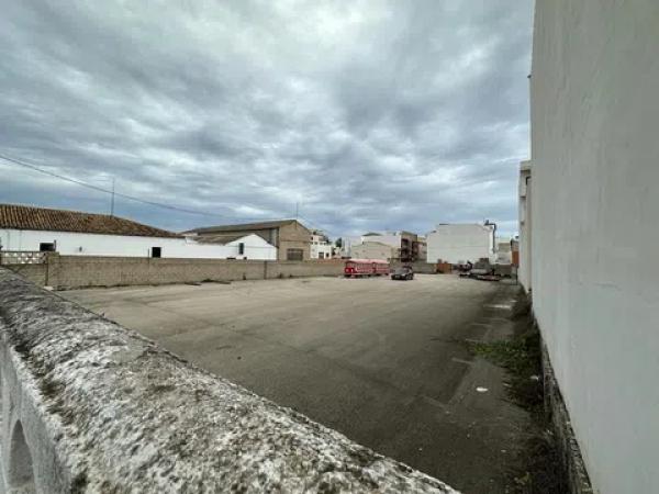 Terreno en Ondara photo 1