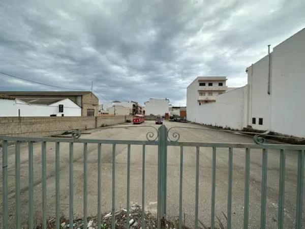 Terreno en Ondara photo 3