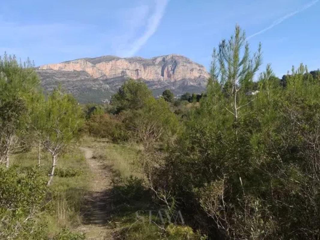Land for sale in Gata de Gorgos, Alicante photo 2