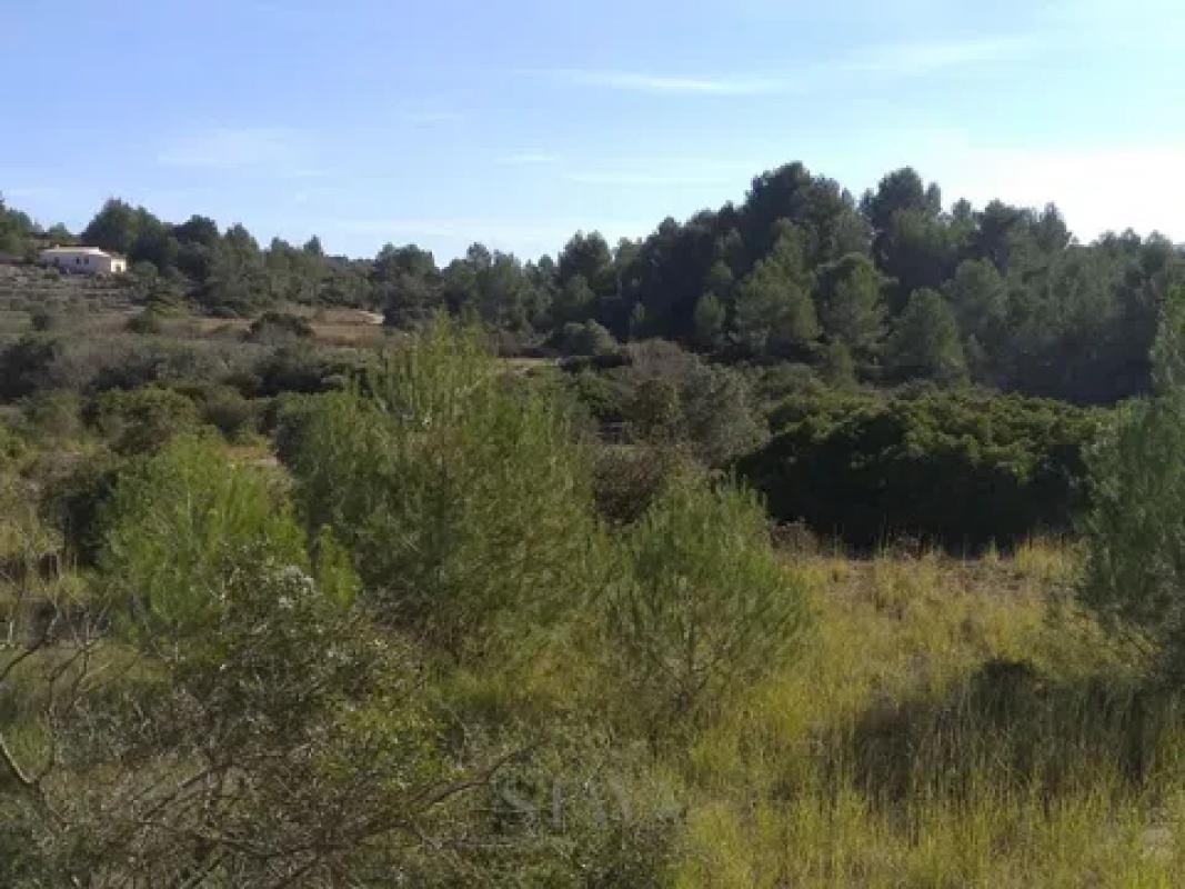 Land for sale in Gata de Gorgos, Alicante photo 3