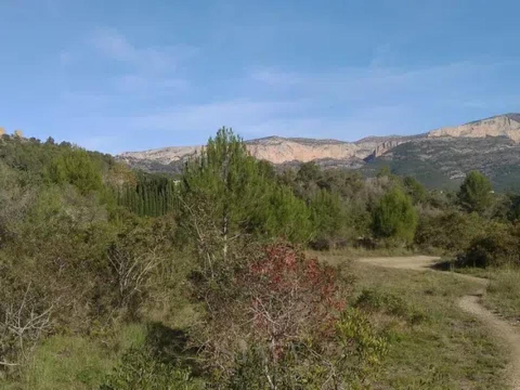 Land for sale in Gata de Gorgos, Alicante photo 4