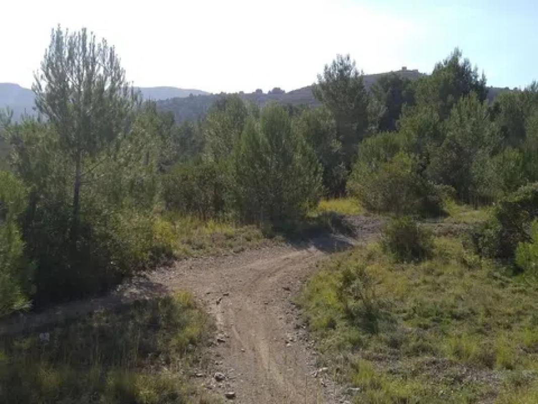 Land for sale in Gata de Gorgos, Alicante photo 5
