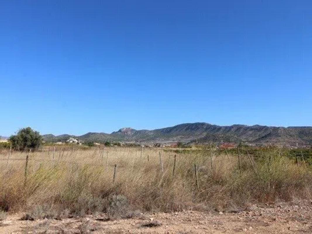 Terreno en venta en La Romana, Alicante photo 1