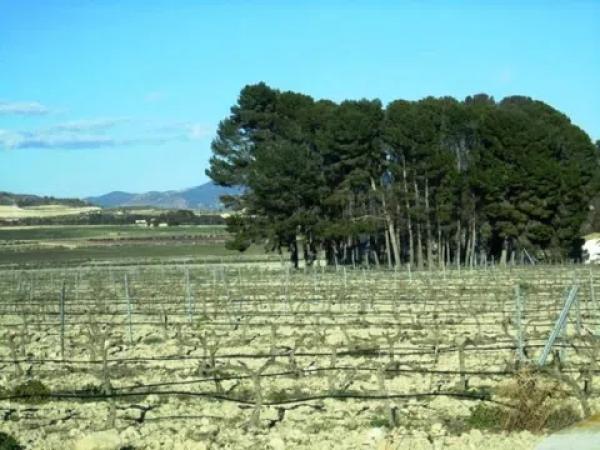 Terreno en Salinas photo