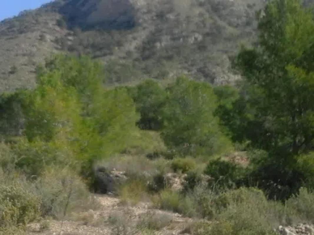 Terreno en venta en Algueña, Alicante photo 1