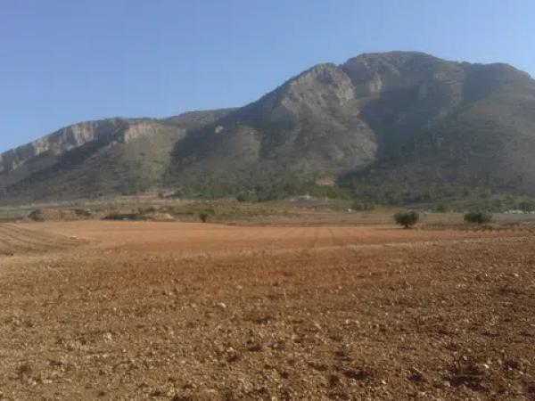 Terreno en carretera cv-840 s/n thumbnail 2