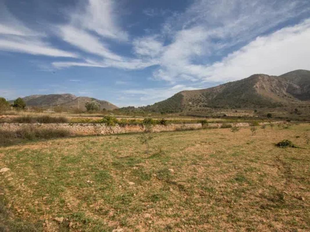 Terreno en venta en Algueña, Alicante photo 1