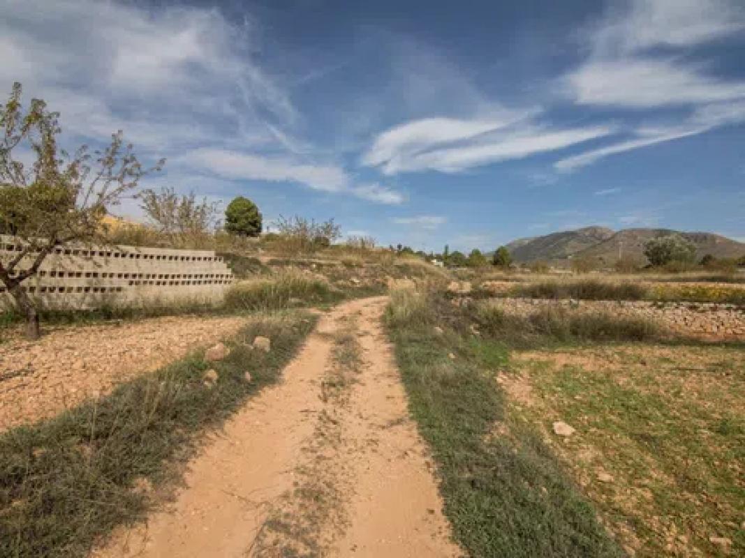 Terreno en venta en Algueña, Alicante photo 2