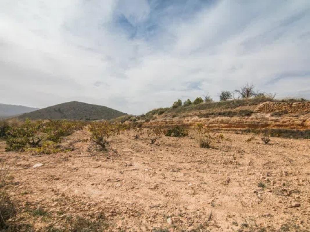 Terreno en venta en Algueña, Alicante photo 5