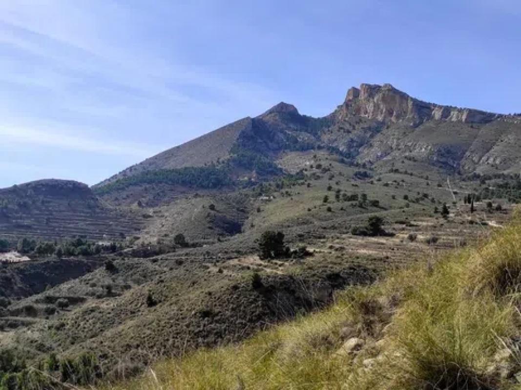 Działka na sprzedaż w Jijona / Xixona, Alicante photo 2