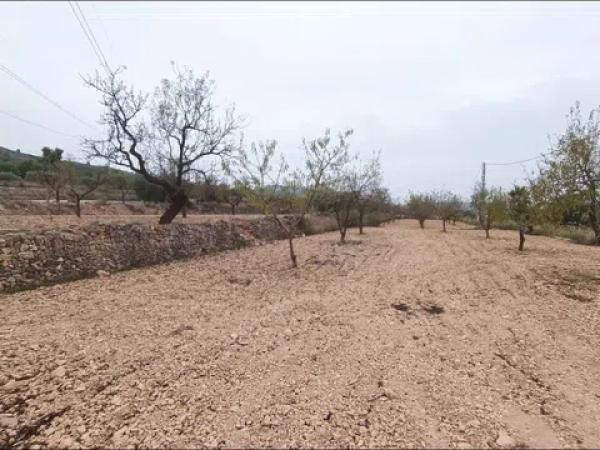 Terreno en Hondón de los Frailes photo 1
