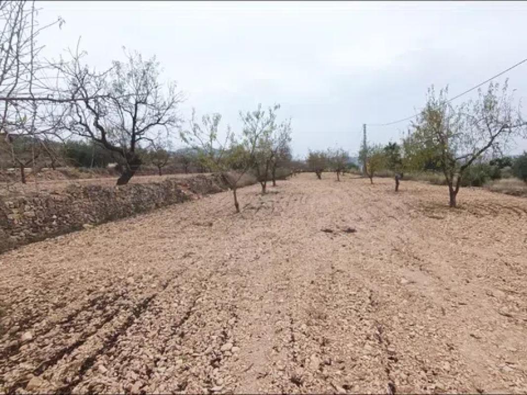 Участок земли на продажу в Хондон-де-лос-Фрайлес, Аликанте photo 2