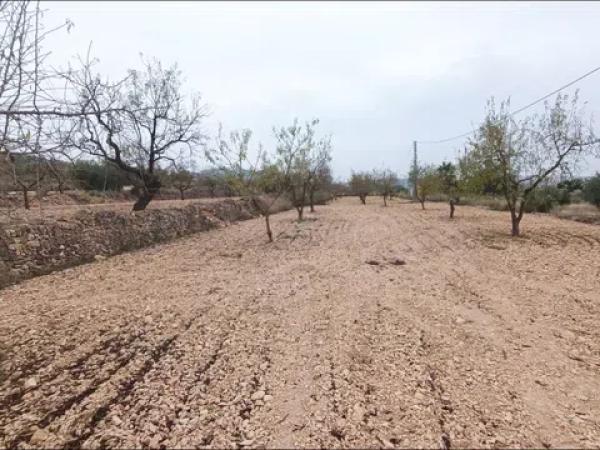 Terreno en Hondón de los Frailes thumbnail 2