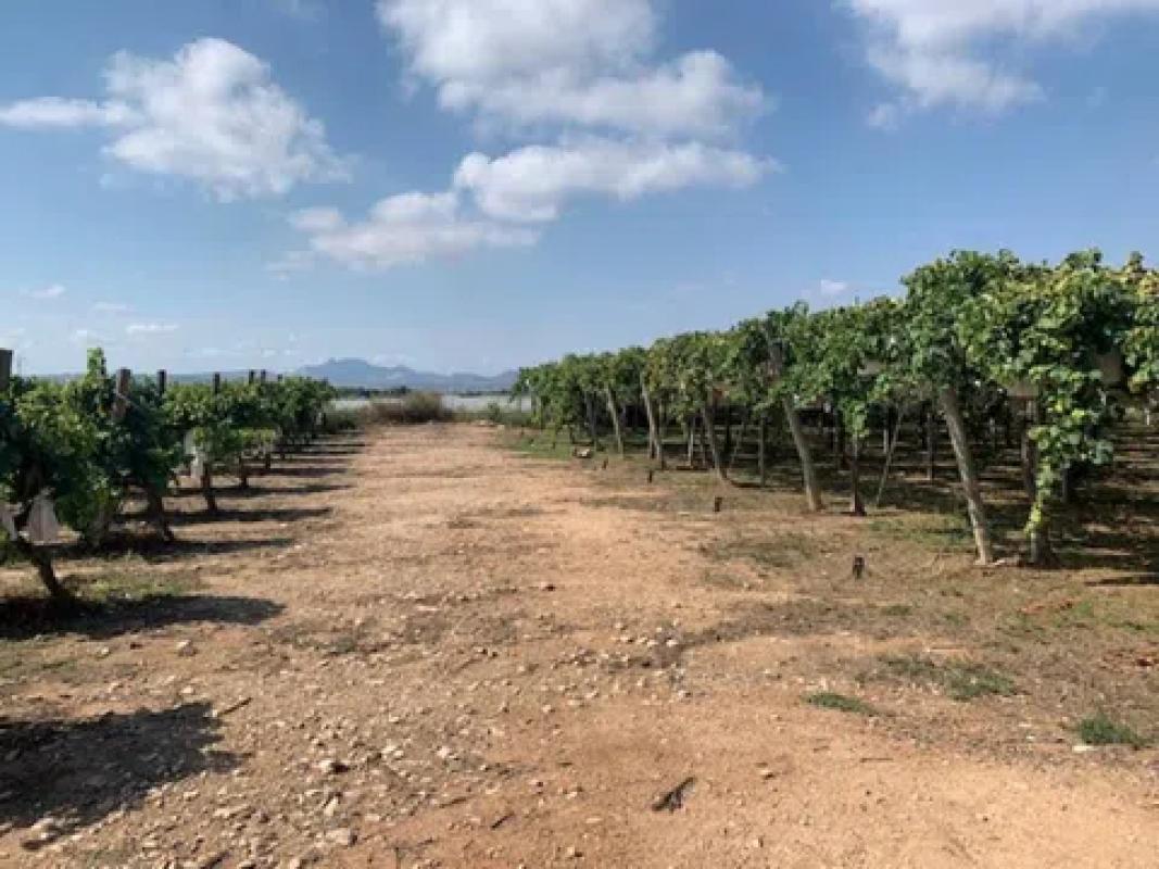 Działka na sprzedaż w Monforte del Cid, Alicante photo 2