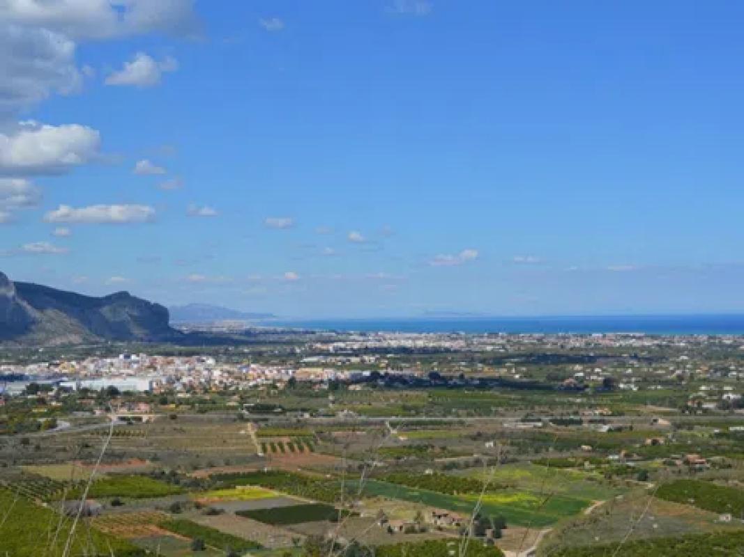 Działka na sprzedaż w Pedreguer, Alicante photo 5