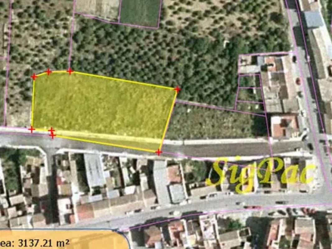 Działka na sprzedaż w Algorfa, Alicante photo 4