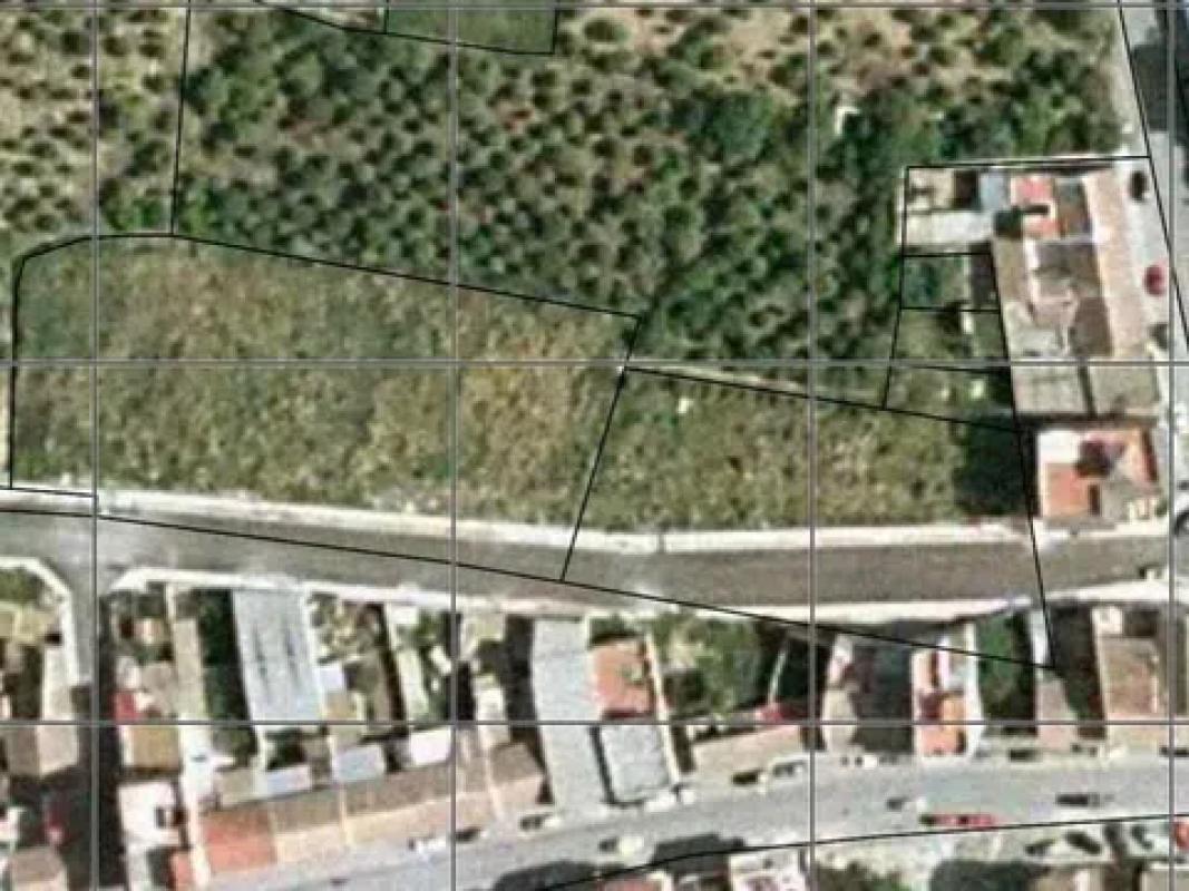 Działka na sprzedaż w Algorfa, Alicante photo 5