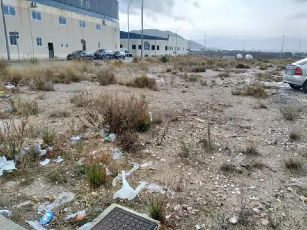 Terreno en venta en Monovar, Alicante photo 3